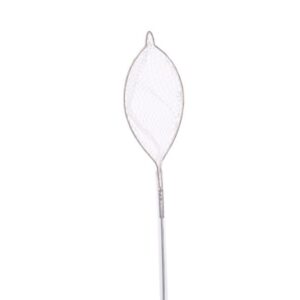Disposable Grasping Forceps(net shape)